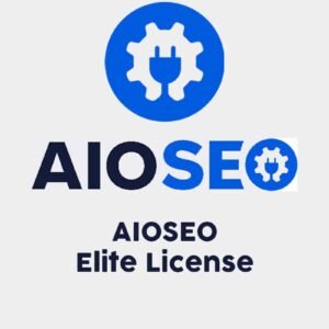 AIOSEO Elite Lisansı