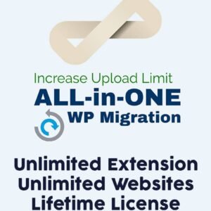 All-in-One WP Migration Unlimited Extension Lisansı