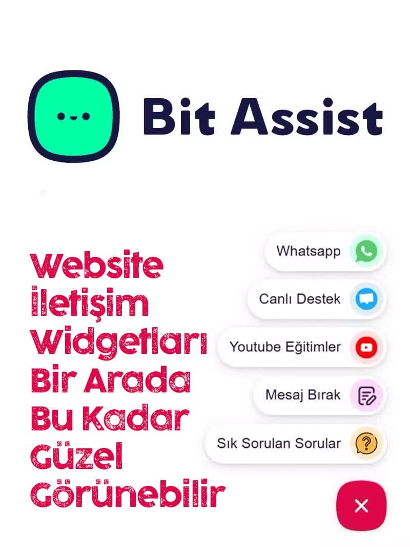 Bit Assist Pro Lisansı