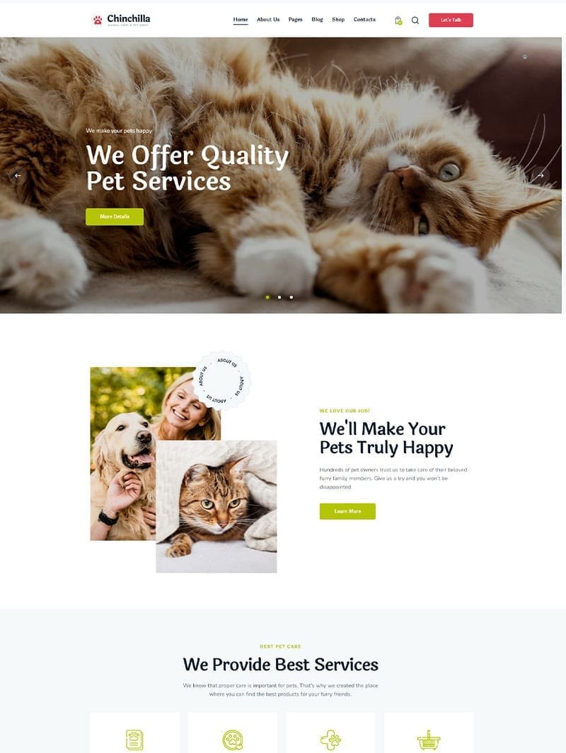 Chinchilla Veteriner Teması