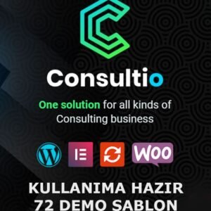 Consultio Business Teması
