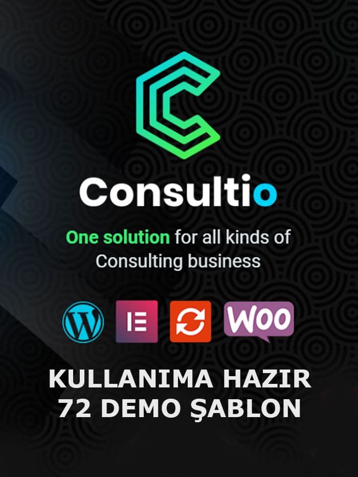 Consultio Business Teması