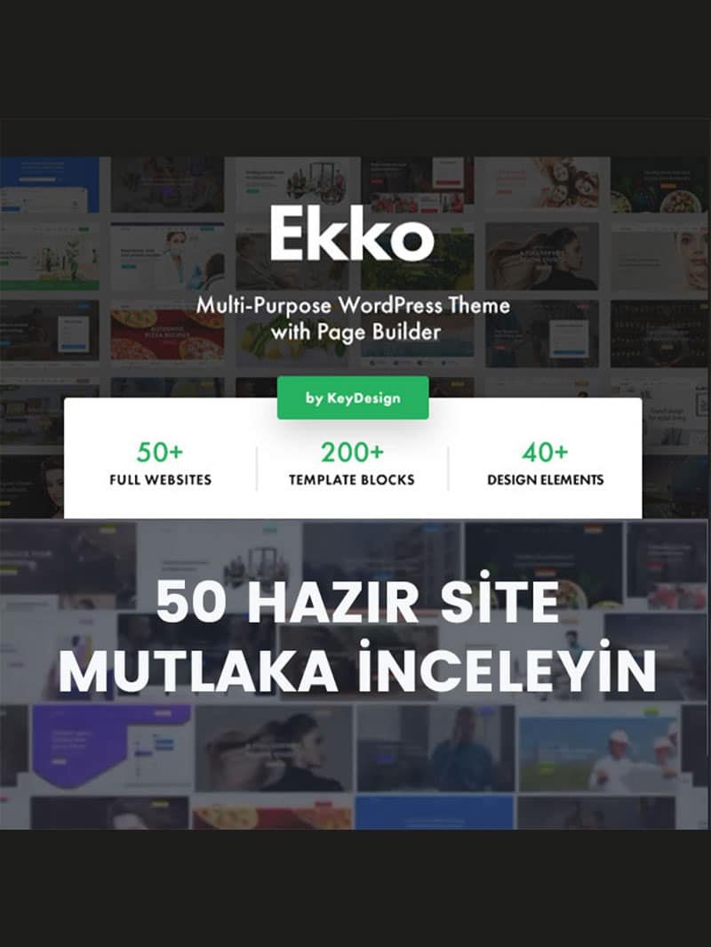 Ekko Teması