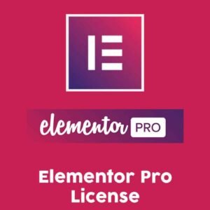 Elementor Pro Lisansı