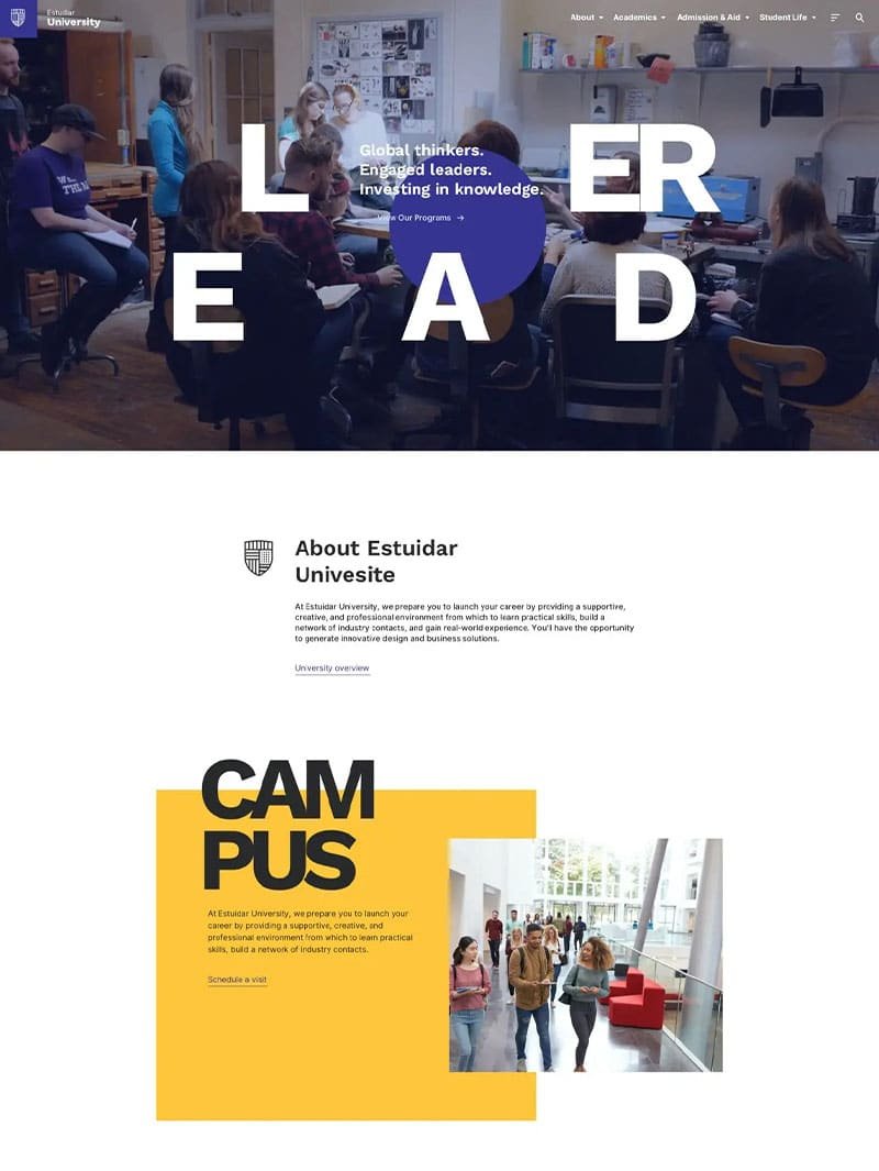 Estudiar College University LMS Teması