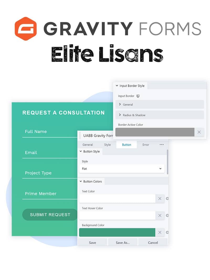 Gravity Forms Elite Lisansı