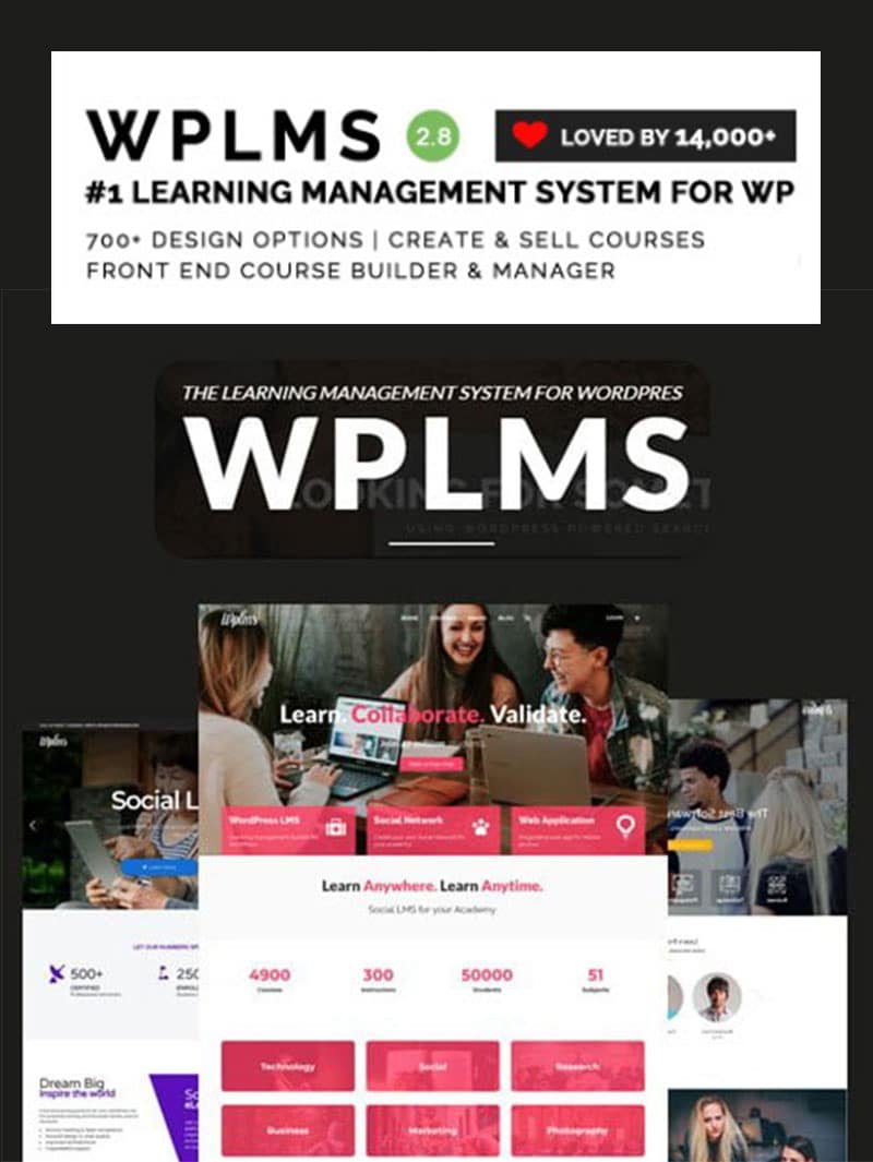 WPLMS Tema Lisansı