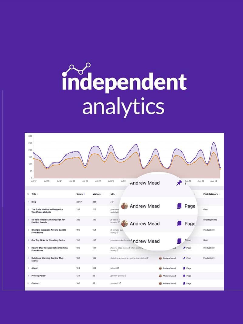 Independent Analytics Pro Lisansı