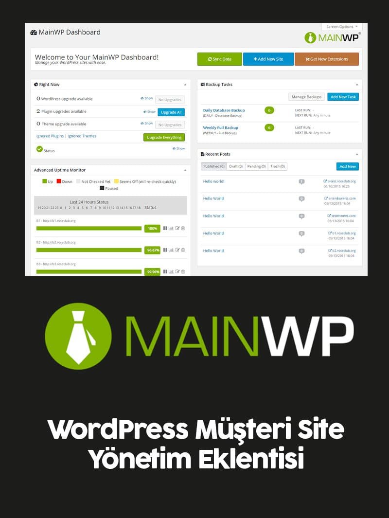 MainWP Pro Lisansı